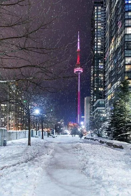 Large 2 Bedrooms Besides Cn Tower Toronto
